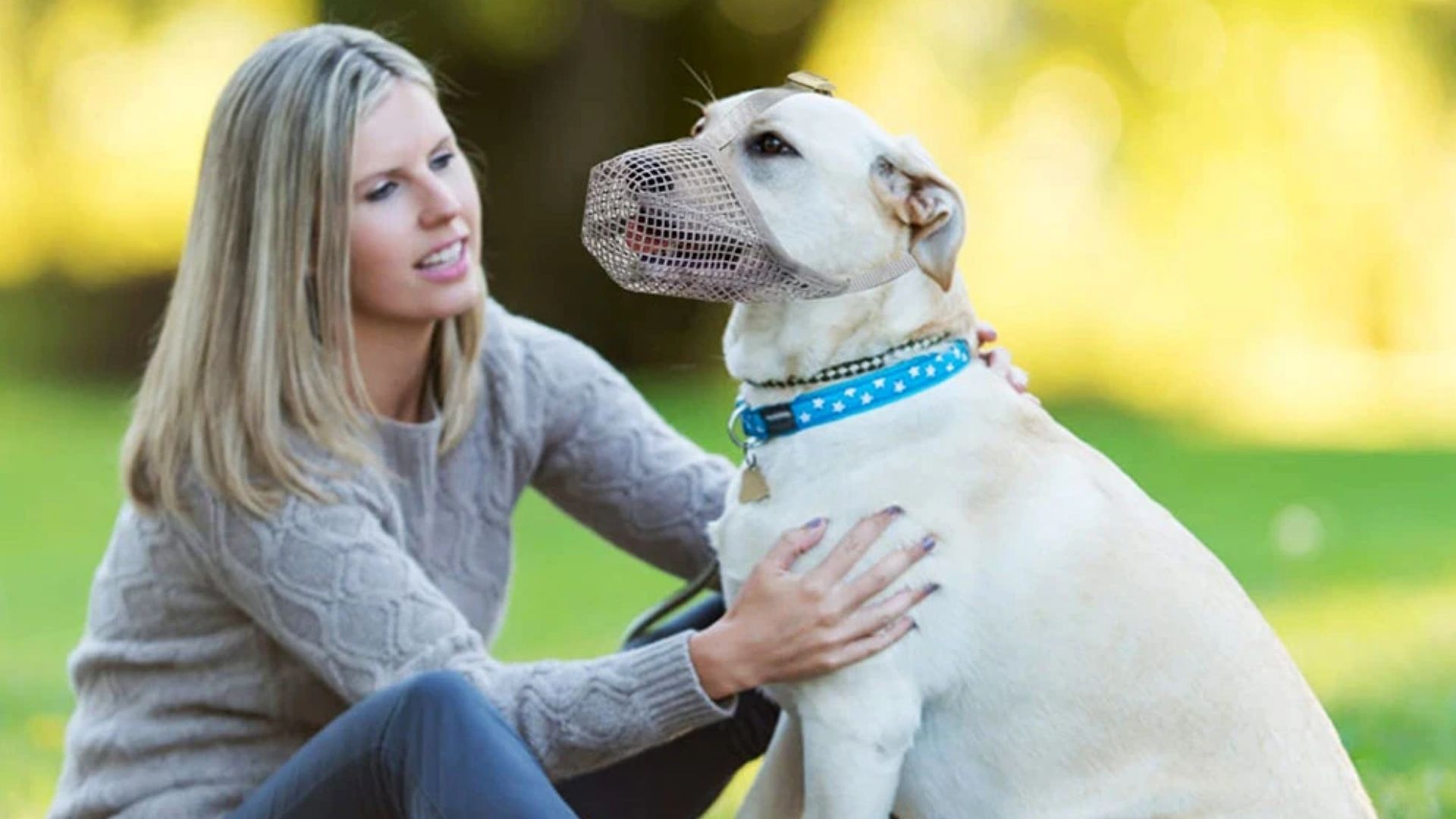 Köpek Ağızlığı Nedir? Ne İşe Yarar?